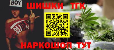 индика Волжский