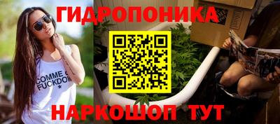 индика Волжский