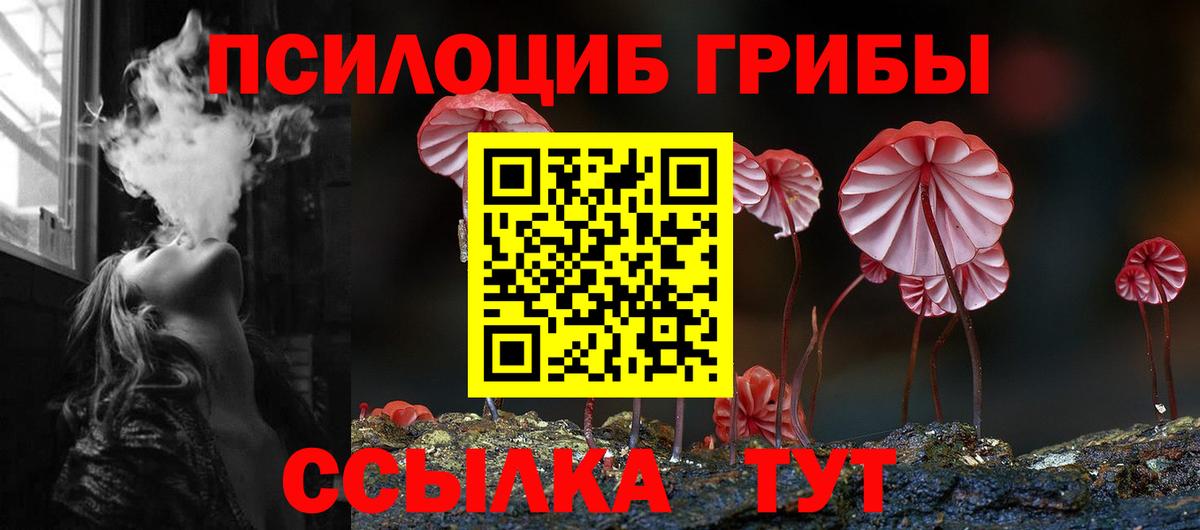 Псилоцибиновые грибы MAGIC MUSHROOMS  Вход с VPN  закладка  Березники 